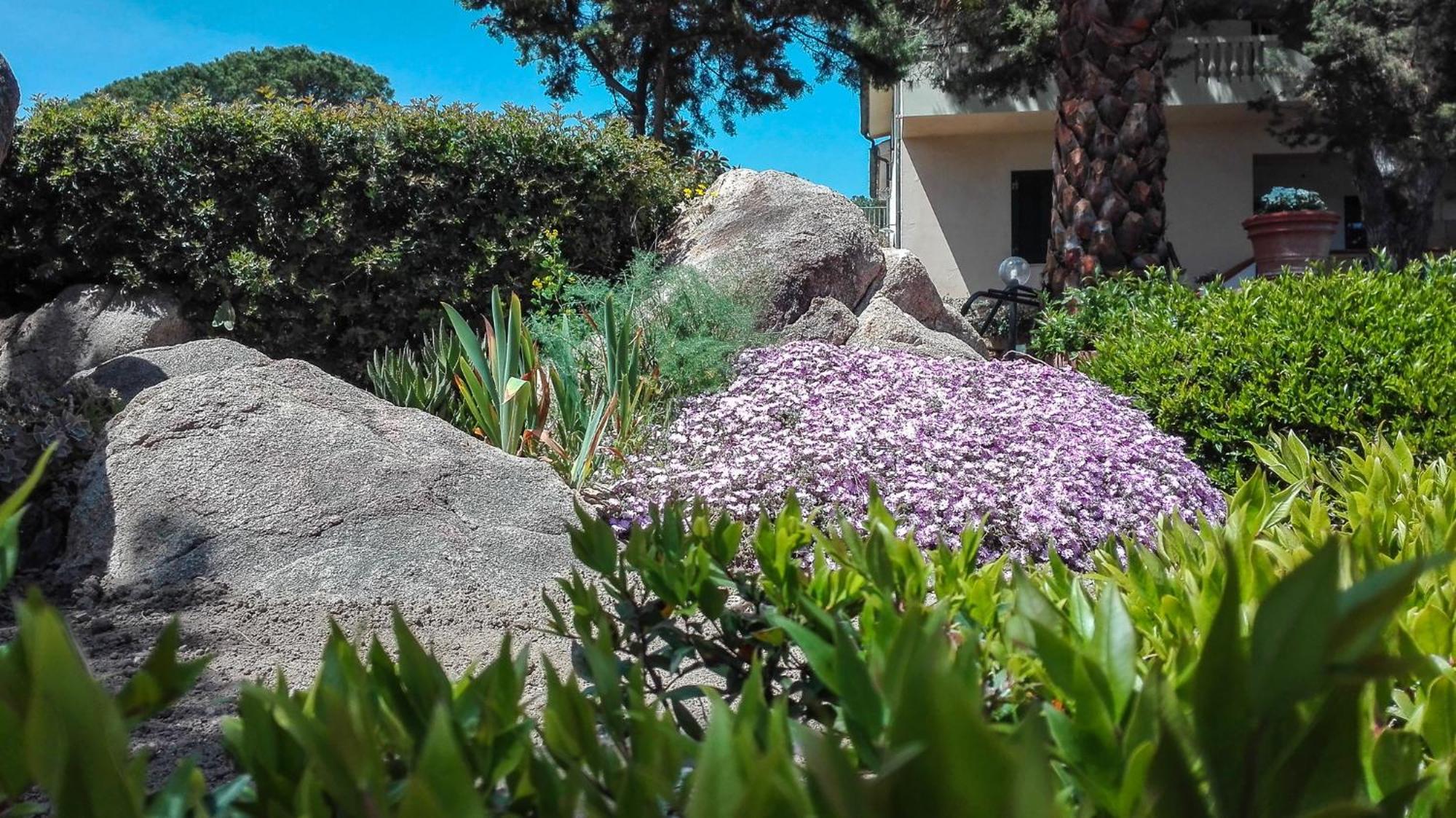 B&B Giglio Di Mare 卡拉·利贝罗托 外观 照片