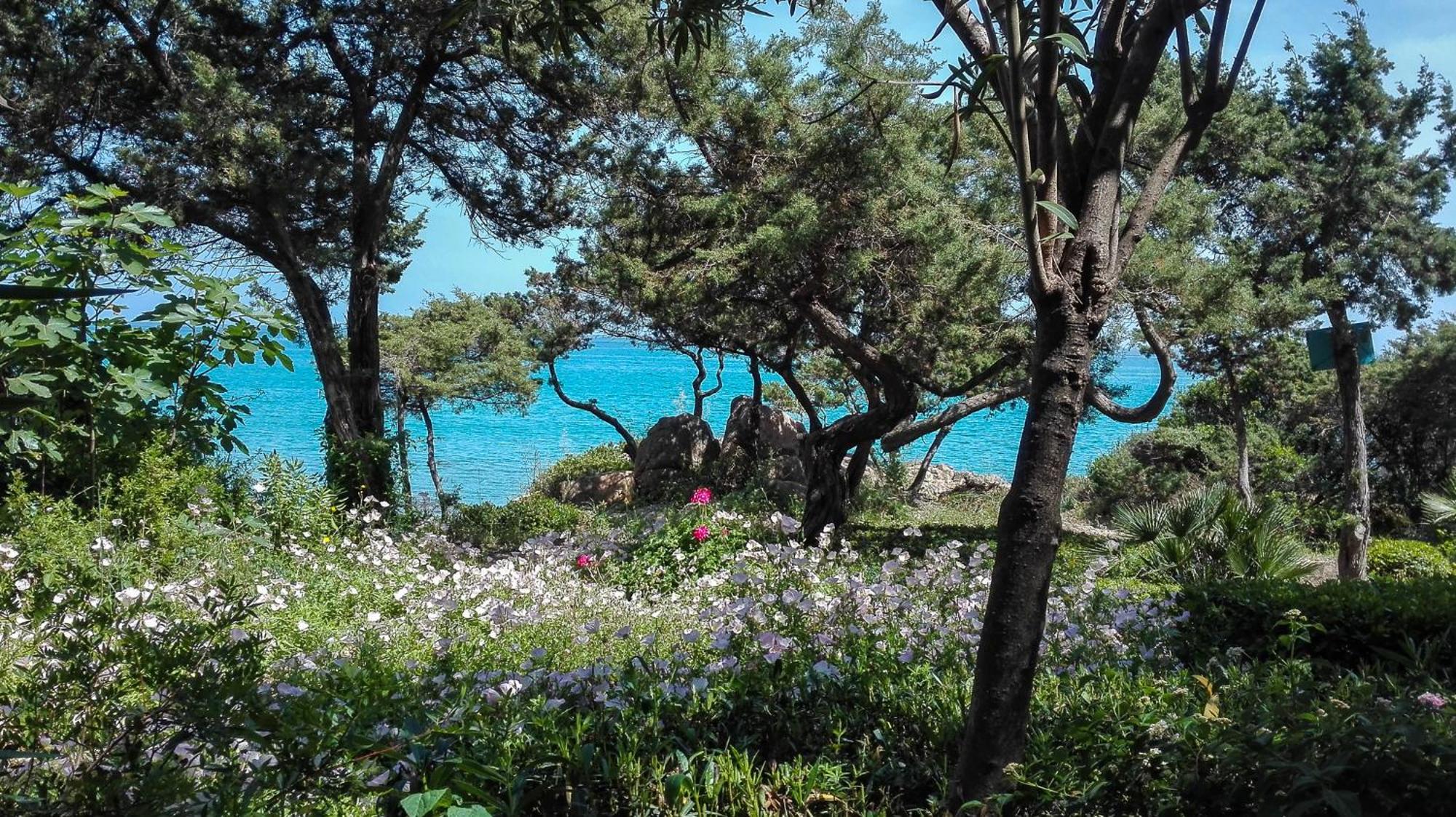 B&B Giglio Di Mare 卡拉·利贝罗托 外观 照片